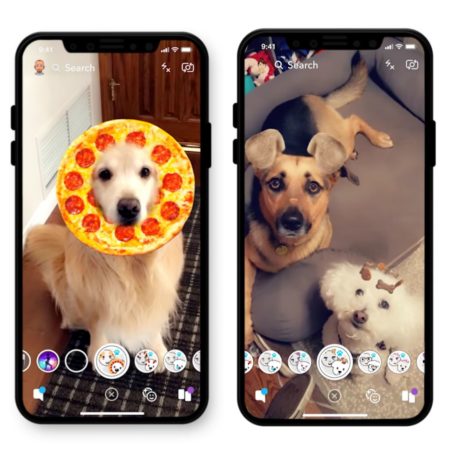 Snapchat Dog Lenses